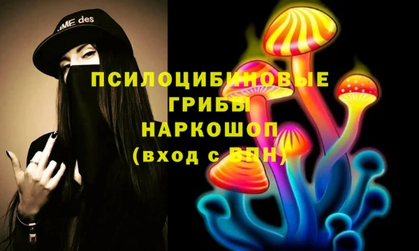 соль ск Лабытнанги