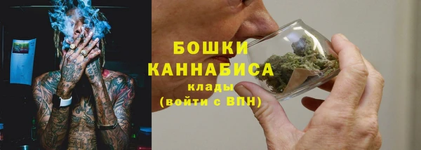 мет Ладушкин