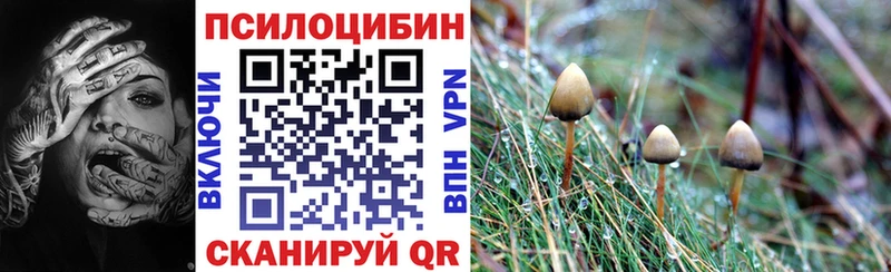 продажа наркотиков  Новокузнецк  Галлюциногенные грибы MAGIC MUSHROOMS 