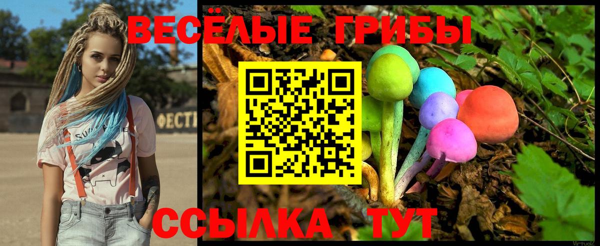 цены   Вход с VPN  Псилоцибиновые грибы мицелий  Новокузнецк  Галлюциногенные грибы Cubensis 